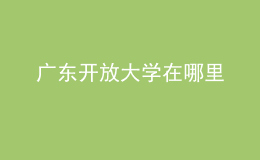 廣東開放大學(xué)在哪里