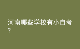 河南哪些學(xué)校有小自考?