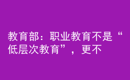 教育部：職業(yè)教育不是“低層次教育”，更不是“淘汰教育”