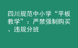 四川規(guī)范中小學(xué)“平板教學(xué)”：嚴(yán)禁強(qiáng)制購買、違規(guī)分班