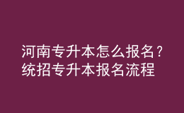 河南專升本怎么報(bào)名？統(tǒng)招專升本報(bào)名流程