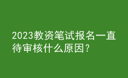 2023教資筆試報名一直待審核什么原因？