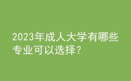 2023年成人大學(xué)有哪些專(zhuān)業(yè)可以選擇？