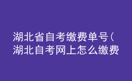 湖北省自考繳費(fèi)單號(hào)(湖北自考網(wǎng)上怎么繳費(fèi))