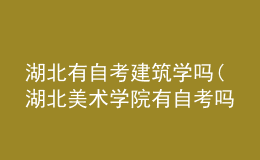 湖北有自考建筑學(xué)嗎(湖北美術(shù)學(xué)院有自考嗎)