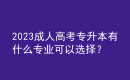 2023成人高考專升本有什么專業(yè)可以選擇？