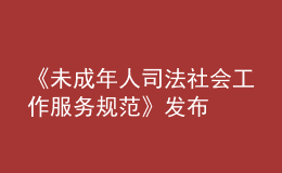 《未成年人司法社會工作服務(wù)規(guī)范》發(fā)布