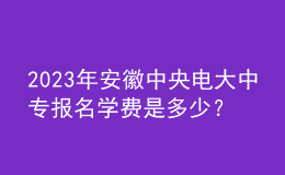 2023年安徽中央電大中專報名學費是多少？