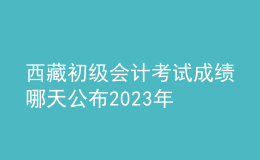 西藏初級會(huì)計(jì)考試成績哪天公布2023年