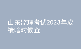 山東監(jiān)理考試2023年成績啥時候查