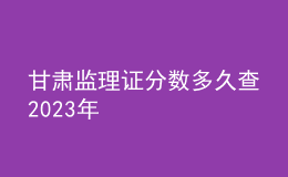 甘肅監(jiān)理證分數(shù)多久查2023年