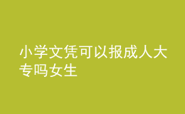 小學(xué)文憑可以報成人大專嗎女生 