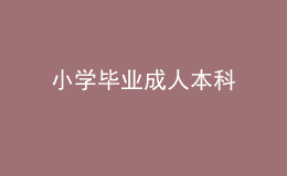 小學畢業(yè)成人本科 