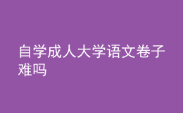 自學成人大學語文卷子難嗎 