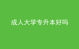 成人大學專升本好嗎