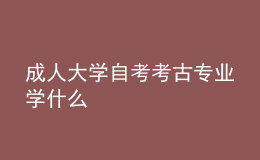 成人大學自考考古專業(yè)學什么