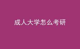 成人大學怎么考研