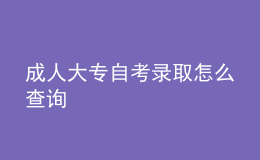 成人大專自考錄取怎么查詢 