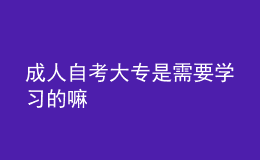 成人自考大專是需要學(xué)習(xí)的嘛 