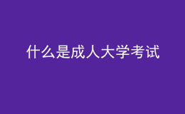 什么是成人大學(xué)考試