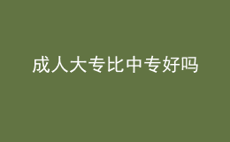 成人大專比中專好嗎