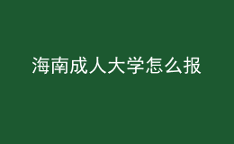 海南成人大學怎么報