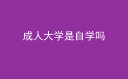 成人大學(xué)是自學(xué)嗎