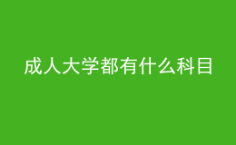 成人大學(xué)都有什么科目