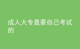 成人大專是要自己考試的 