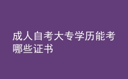 成人自考大專學(xué)歷能考哪些證書 