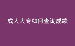 成人大專如何查詢成績