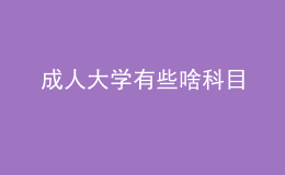 成人大學(xué)有些啥科目