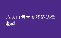 成人自考大專經(jīng)濟(jì)法律基礎(chǔ) 