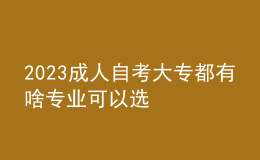 2023成人自考大專都有啥專業(yè)可以選 