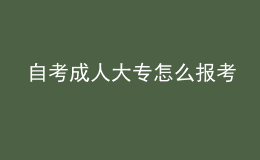 自考成人大專怎么報考 