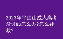 2023年平頂山成人高考沒過線怎么辦?怎么補(bǔ)救?