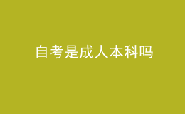 自考是成人本科嗎 