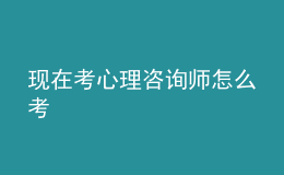 現(xiàn)在考心理咨詢師怎么考