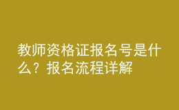 教師資格證報名號是什么？報名流程詳解