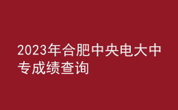 2023年合肥中央電大中專成績(jī)查詢