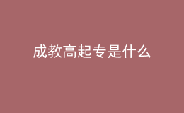 成教高起專是什么