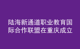 陸海新通道職業(yè)教育國際合作聯(lián)盟在重慶成立