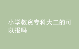 小學(xué)教資?？拼蠖目梢詧?bào)嗎