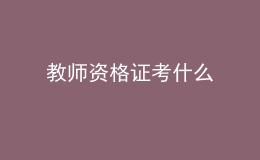 教師資格證考什么