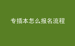 專插本怎么報名流程