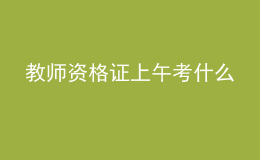 教師資格證上午考什么