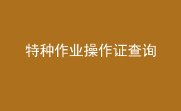 特種作業(yè)操作證查詢