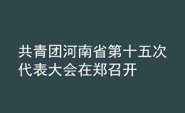 共青團(tuán)河南省第十五次代表大會(huì)在鄭召開