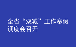 全省“雙減”工作寒假調度會召開