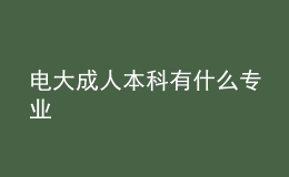 電大成人本科有什么專業(yè)